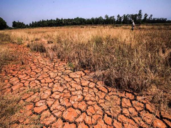 Mơ thấy hạn hán đánh con gì lộc lá? 