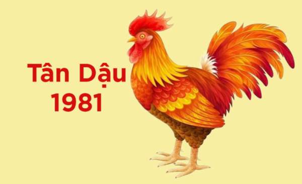 Tử vi tuổi Tân Dậu 23/2/2025 có mang lại may mắn?