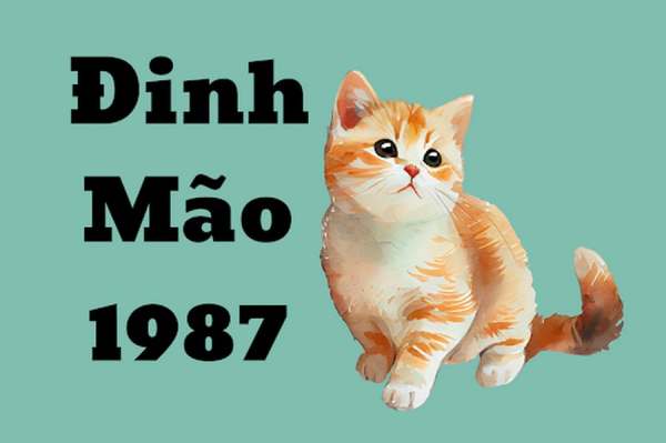 Số đẹp tuổi Đinh Mão 6/2/2025 cơ hội tài lộc hôm nay