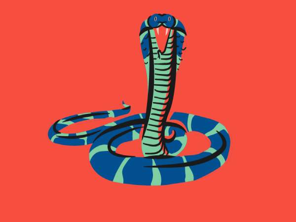 Nằm mơ thấy rắn hổ mang là điềm gì và hung cát ra sao?